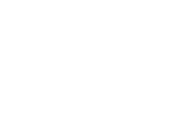 pdi-logo